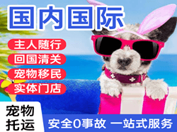 成都空运代理国际宠物托运 【国
